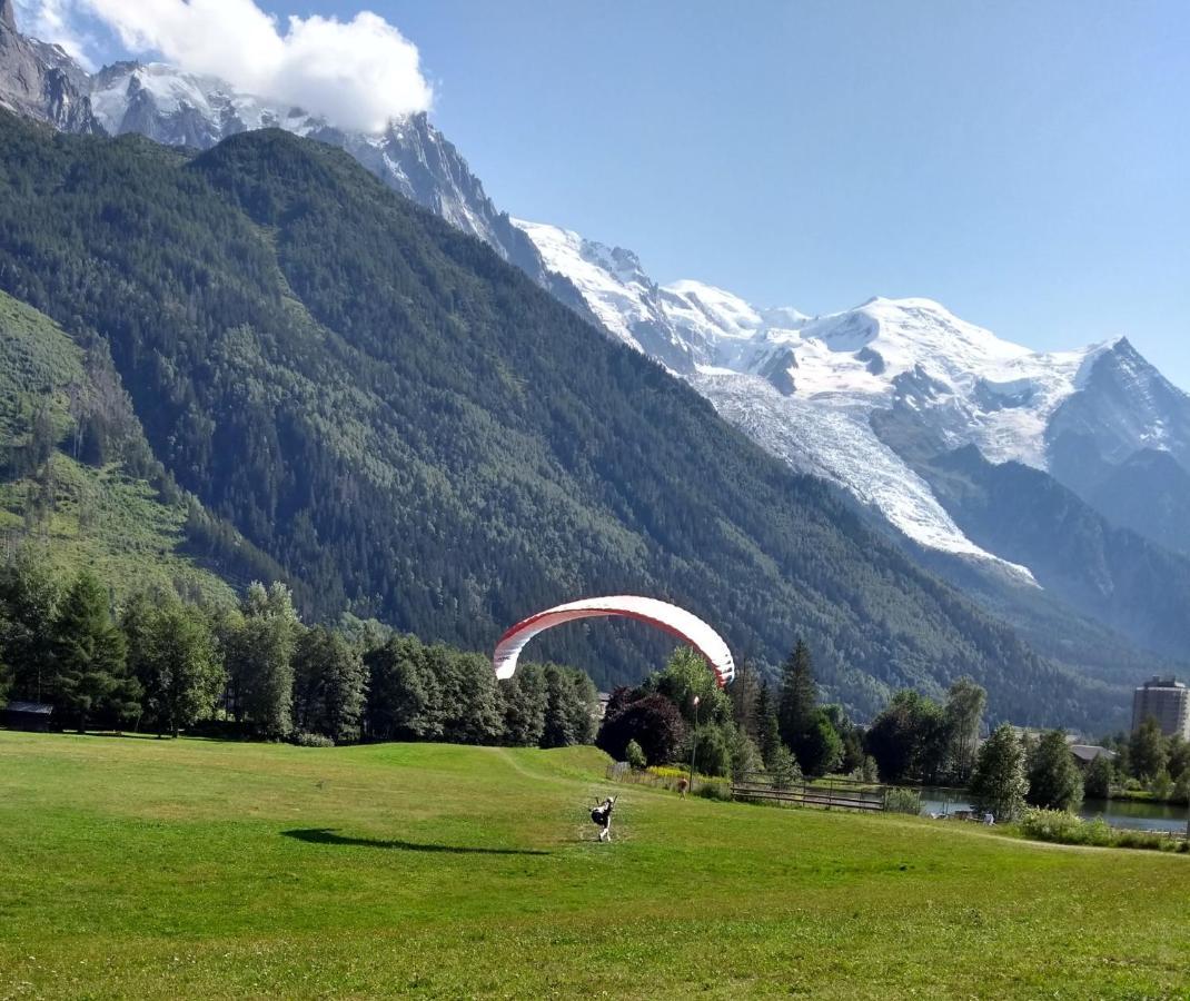 Happy Moose - Cosy Mont Blanc View Apartment Chamonix Luaran gambar