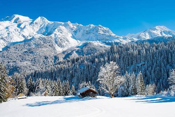 Happy Moose - Cosy Mont Blanc View Apartment Chamonix Luaran gambar
