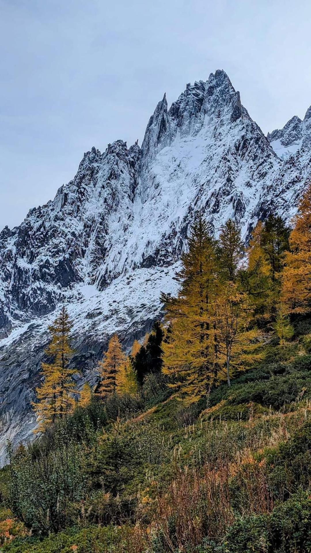 Happy Moose - Cosy Mont Blanc View Apartment Chamonix Luaran gambar