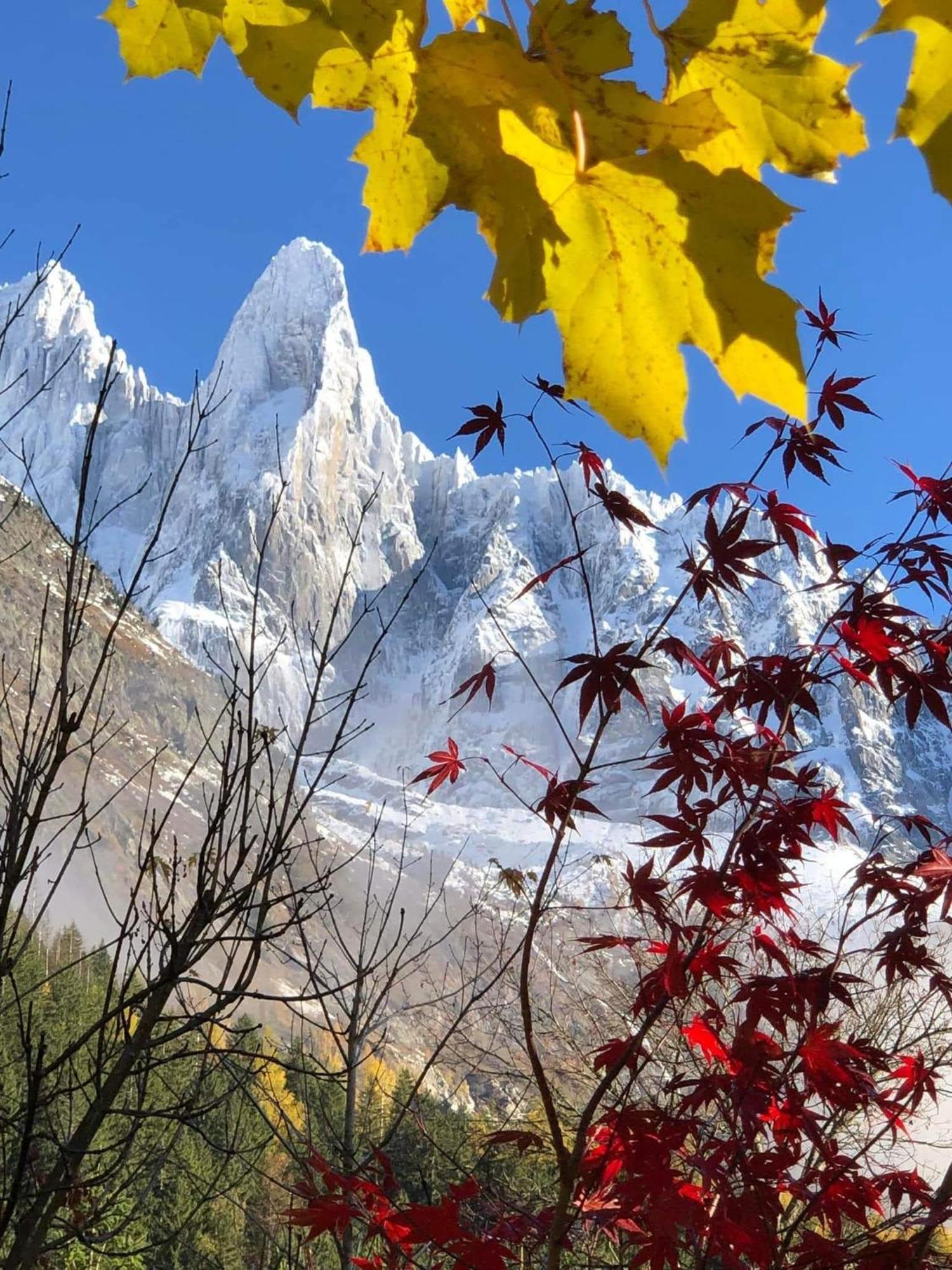 Happy Moose - Cosy Mont Blanc View Apartment Chamonix Luaran gambar